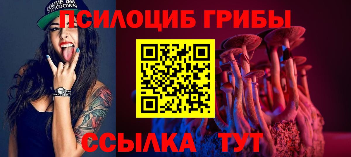 Шарыпово  Псилоцибиновые грибы прущие грибы  Вход с VPN 